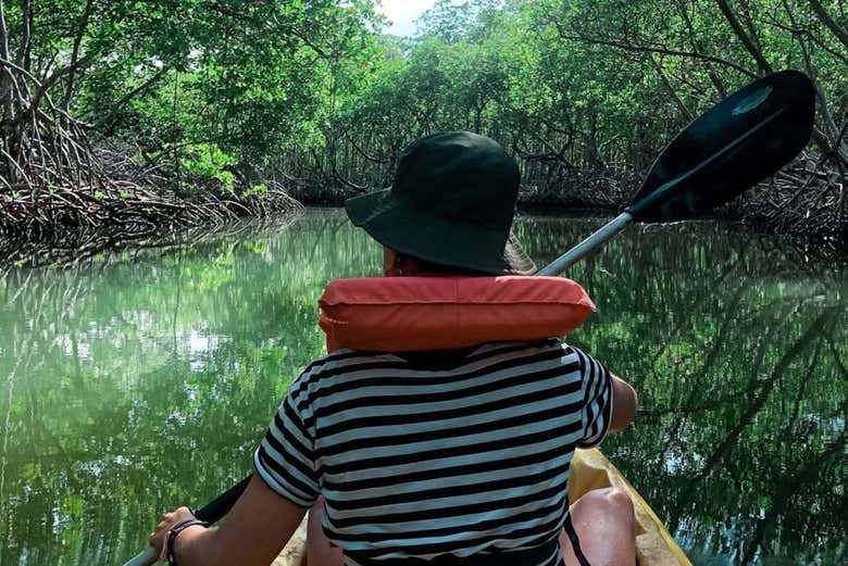 Remando por los manglares de Cayo Hondo