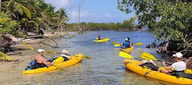 Tour en quad y kayak por el Parque Nacional Los Haitises