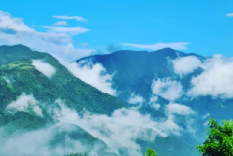 Disfrutaréis del verde de la vegetación desde las alturas