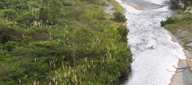 Senderismo por la ribera del río Muchas Aguas