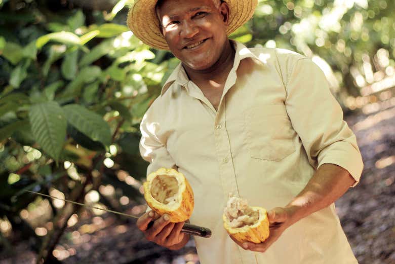 Scoprendo alcune curiosità sul cacao