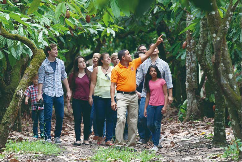 Visitando l'Hacienda Esmeralda