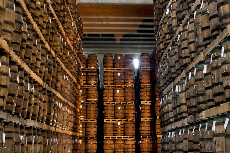 Sala de barricas de Ron Barceló