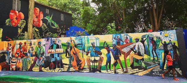 Tour privado de los murales de Los Pepines
