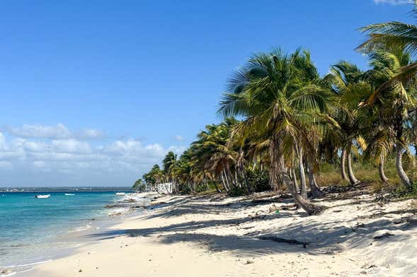 Excursión a la isla Catalina