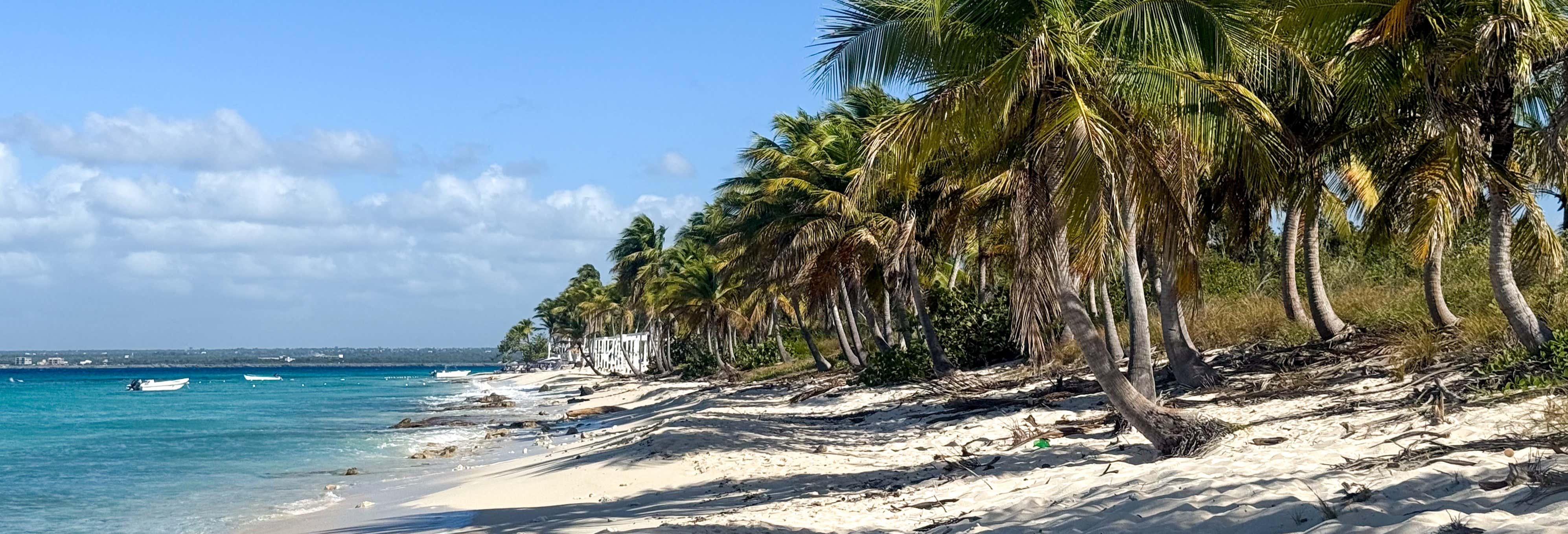 Escursioni di un giorno a Santo Domingo