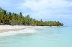 Excursión a isla Saona en catamarán
