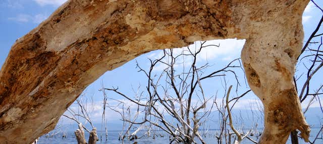 Excursión al lago Enriquillo