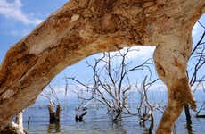 Excursión al lago Enriquillo