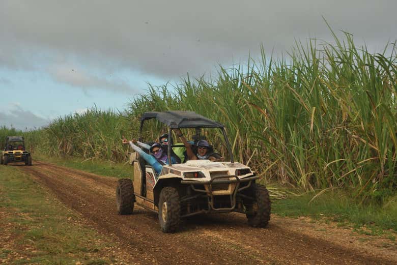Iremos a una plantación de caña de azúcar
