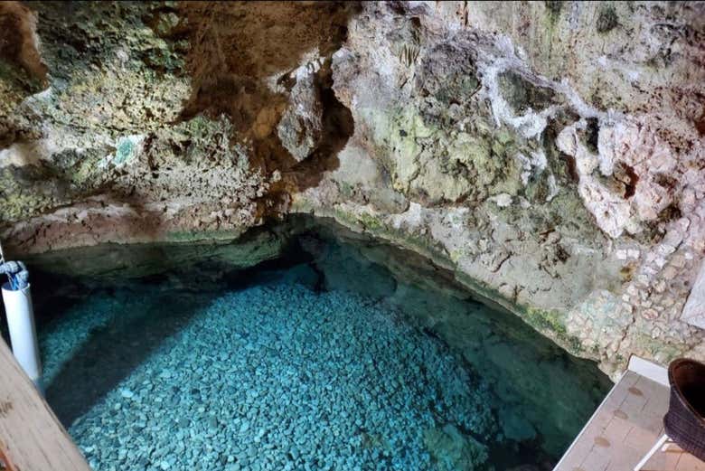 Quer dar um mergulho?