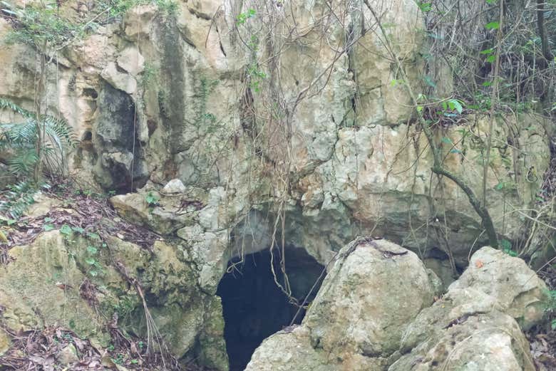 Nos adentraremos en las cuevas para conocer la historia