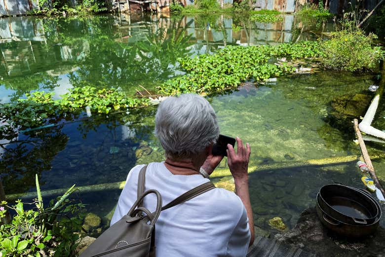 Disfrutando de República Dominicana