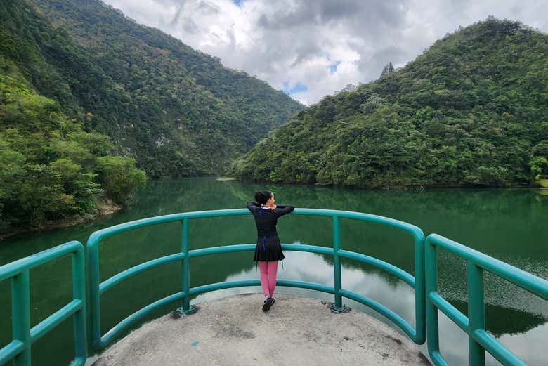 Contemplando el panorama 