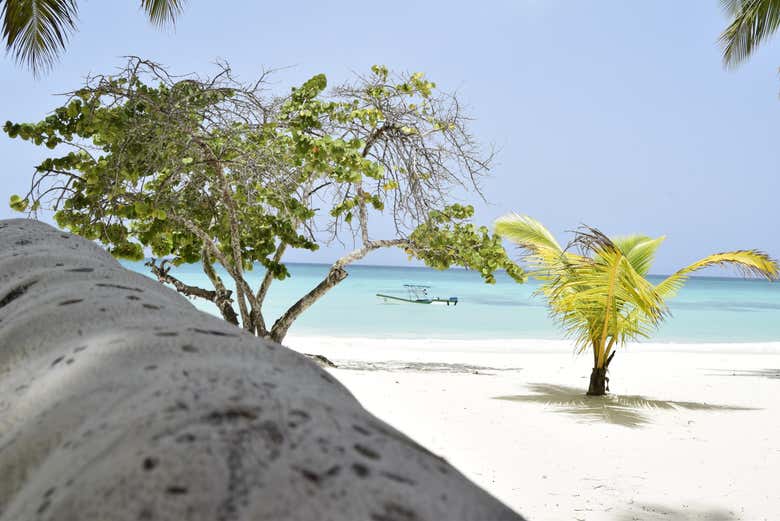 Paisagem paradisíaca na ilha Saona