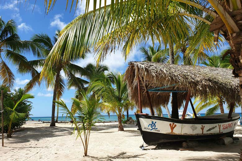 Playa de la isla Saona