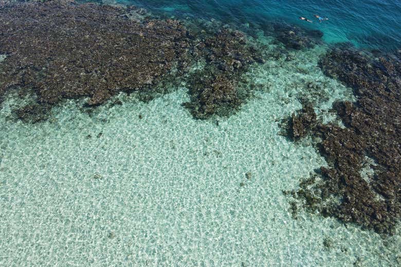 Arrecife Cayo Arena - Snorkeling
