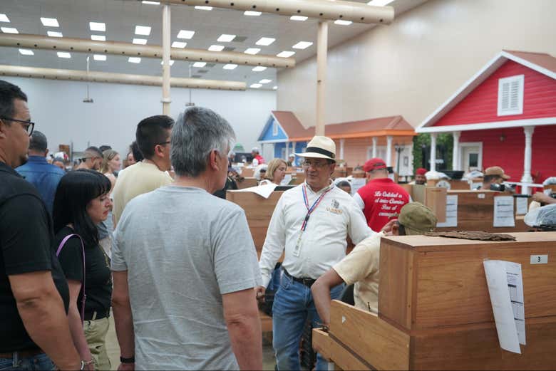 Fabrica de Tabaco - Produccion