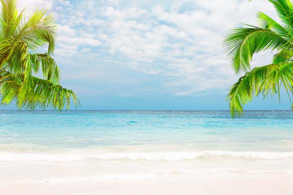 Tour de 7 días por Punta Cana, Santo Domingo y Bayahíbe
