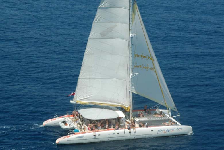 Enjoy a cruise