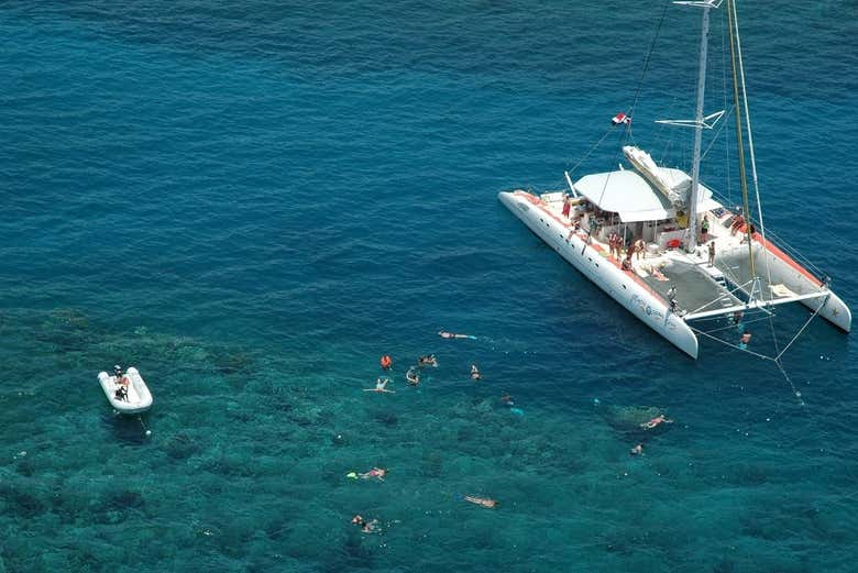 Durante una de las paradas para hacer snorkel