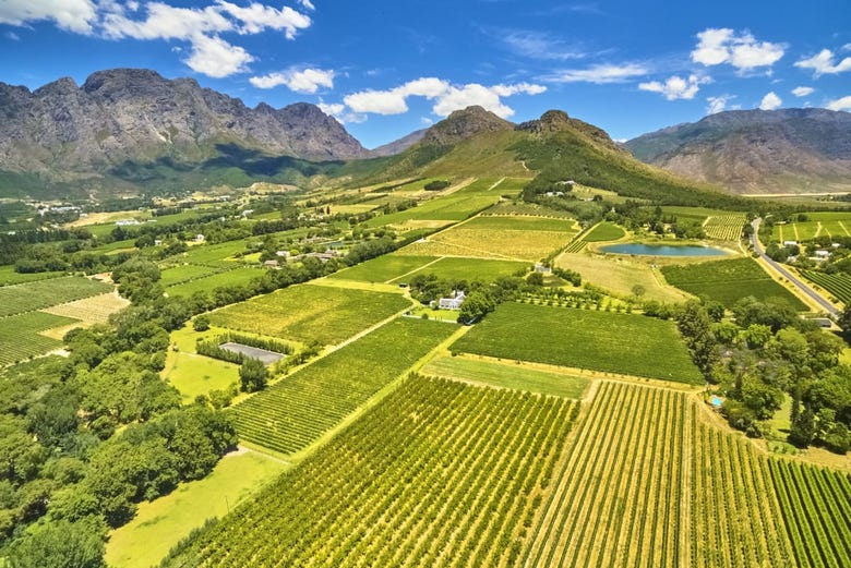 Stellenbosch, a wine region par excellence