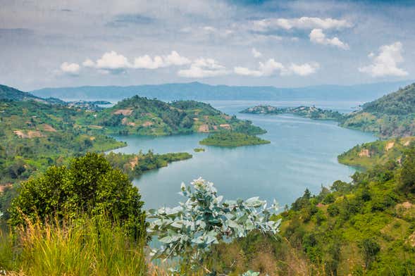 7-Day Tour of Rwanda from Kigali - Book Online at Civitatis.com