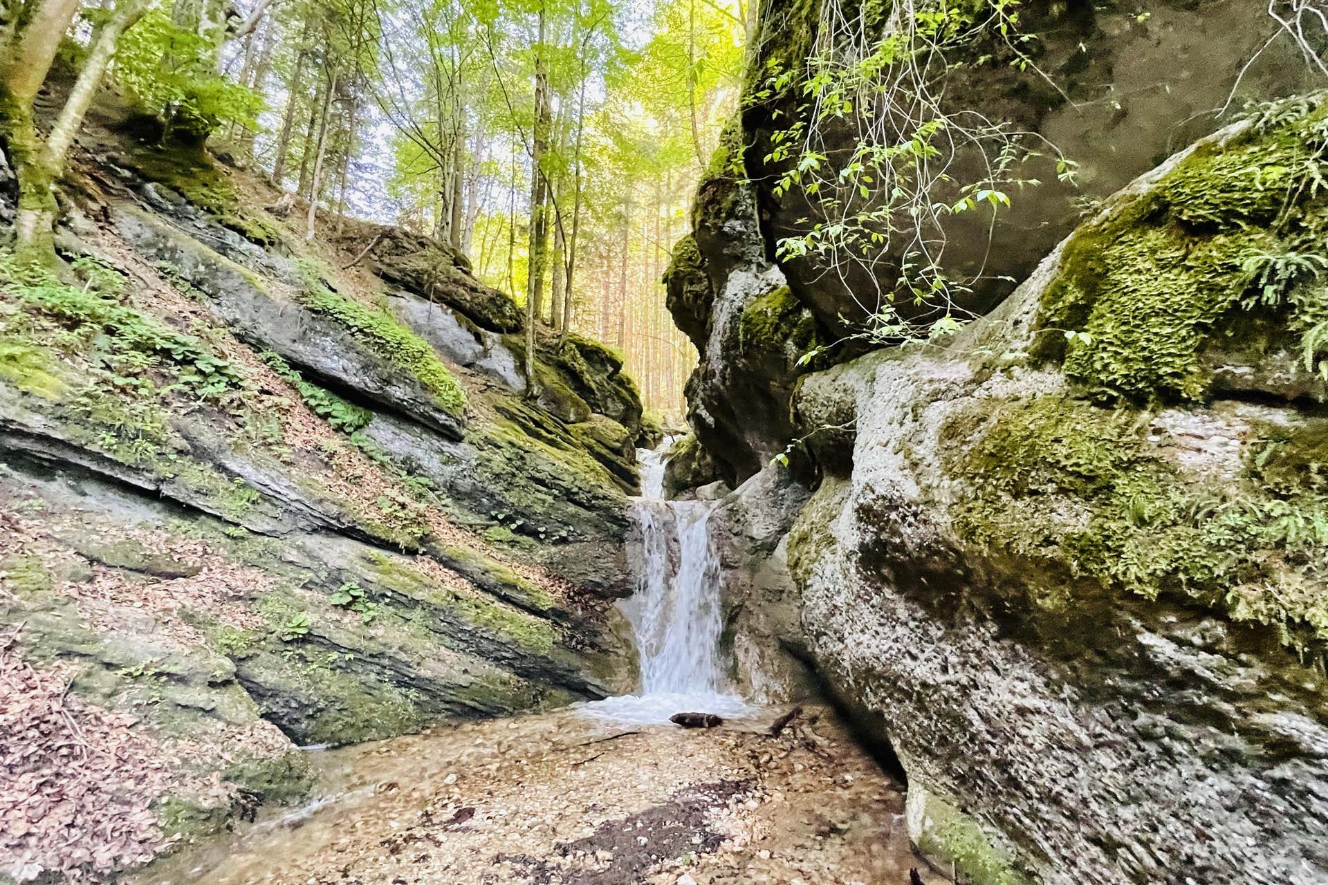 Escursione al canyon di Seven Ladders