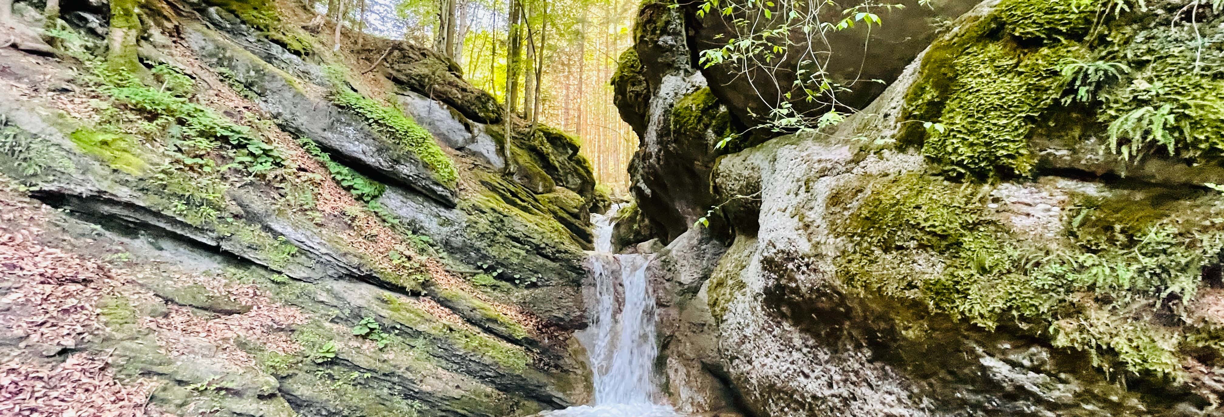 Excursiones de un día en Brasov