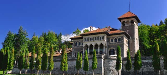 Peleș + Cantacuzino Castles Tour
