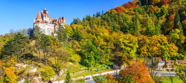 Excursión privada desde Brasov