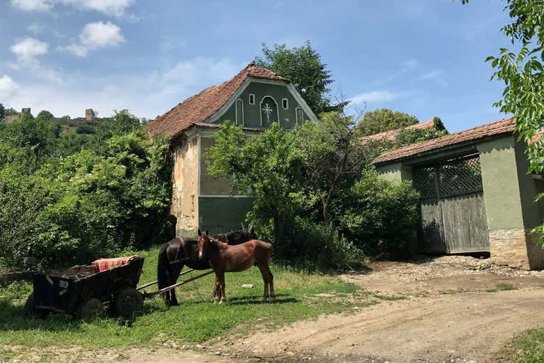 Casa en Sighisoara
