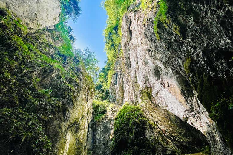 Seven Ladders Canyon