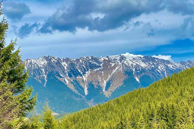Snow-capped mountains