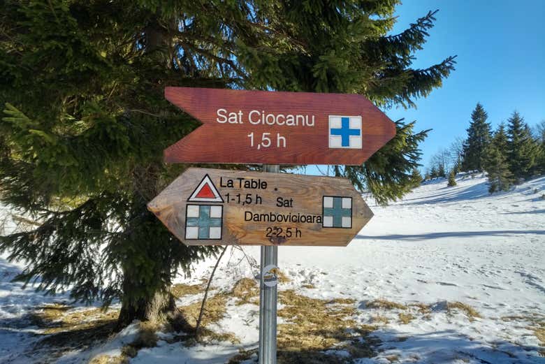 Hiking trails in Ciocanu