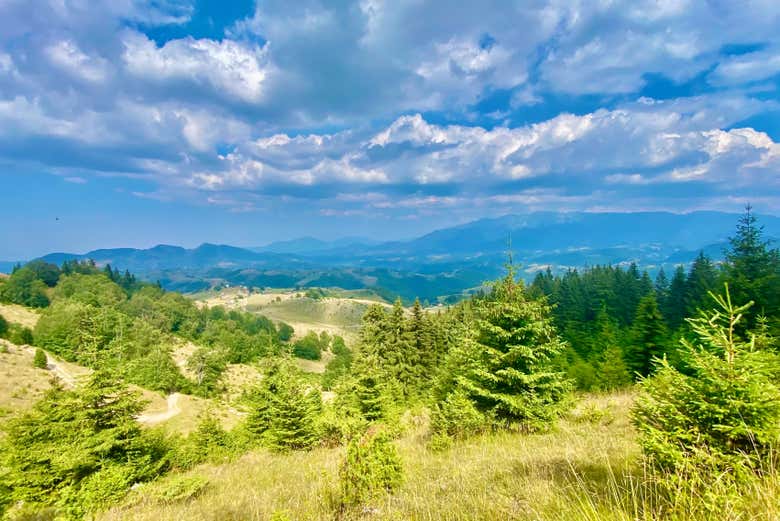 Discovering Romanian nature