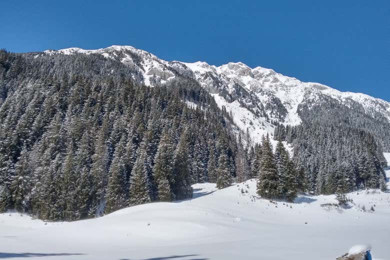 Landscapes along the route