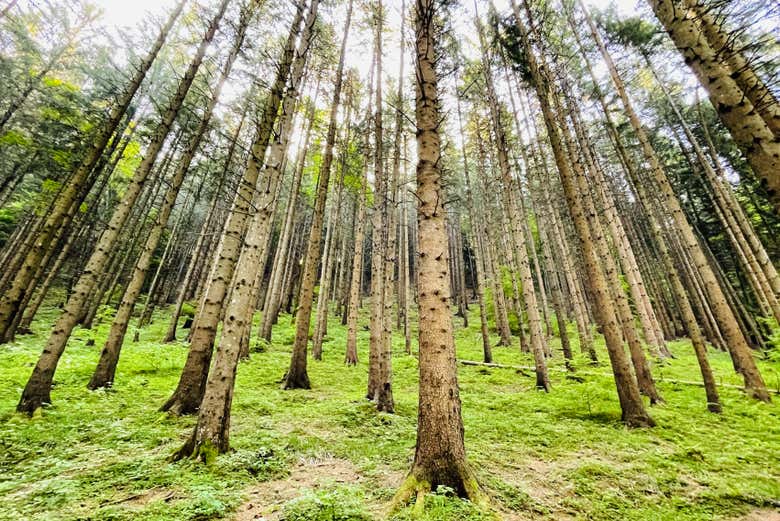 Scenery along the route