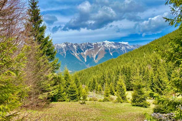 Hiking in Ciocanu