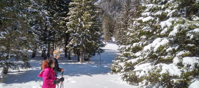 Senderismo por el Parque Nacional Piatra Craiului