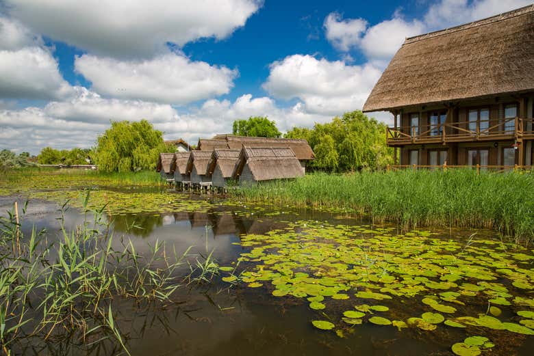 Veréis las casas de juncos alrededor del delta