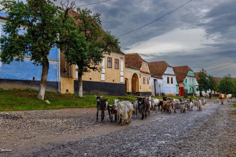 ¡Será una gran experiencia!