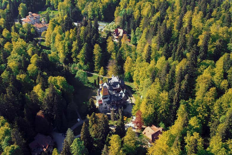 Vista aérea del castillo rodeado de arboleda