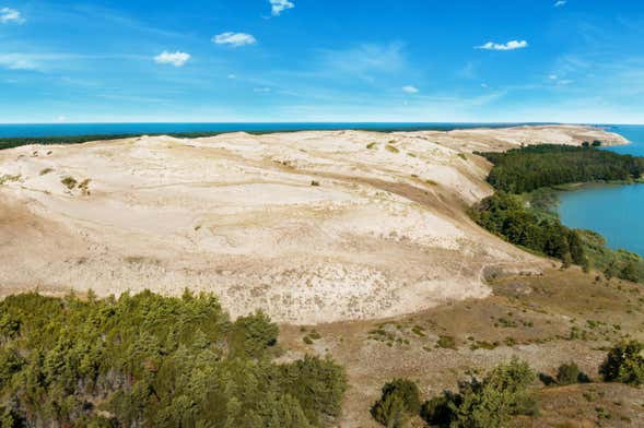 Excursión a Svetlogorsk e istmo de Curlandia