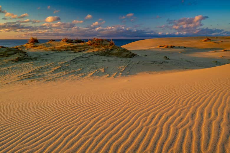 Le dune della Penisola di Neringa