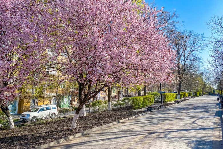 Calle Pushkinskaya