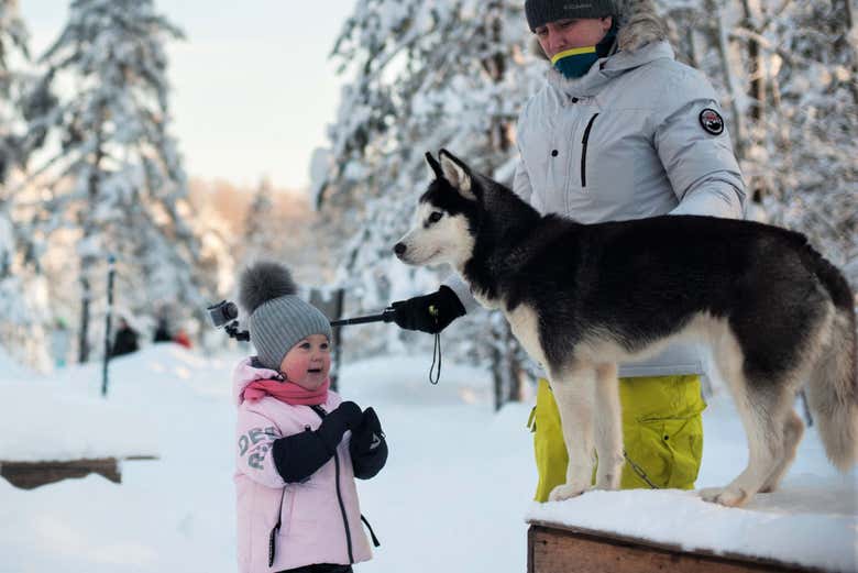 Getting to know the huskies