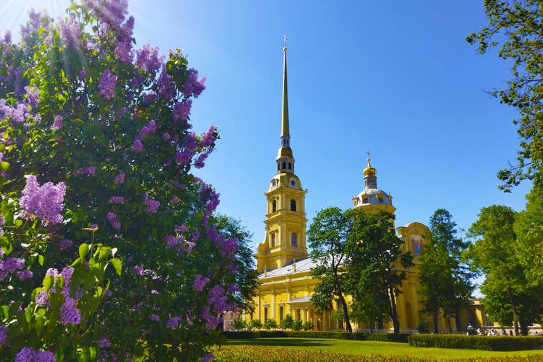 Jardines de los alrededores de la Catedral
