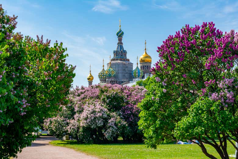 Visitaréis uno de los jardines más bonitos de Rusia