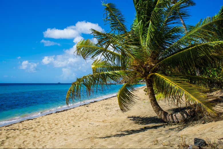 South Friar's Bay Beach es perfecta para tomar un baño
